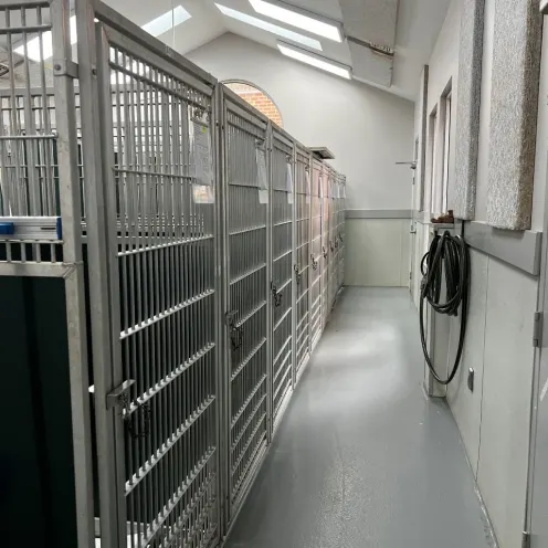 Kennels at Peaks View Animal Hospital.