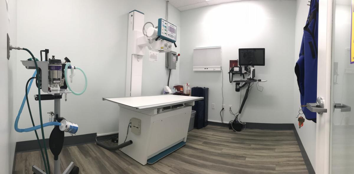 An exam room and equipment at Specialists in Companion Animal Neurology (SCAN)'s Naples office