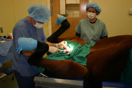 Surgeons in Surgical Suite