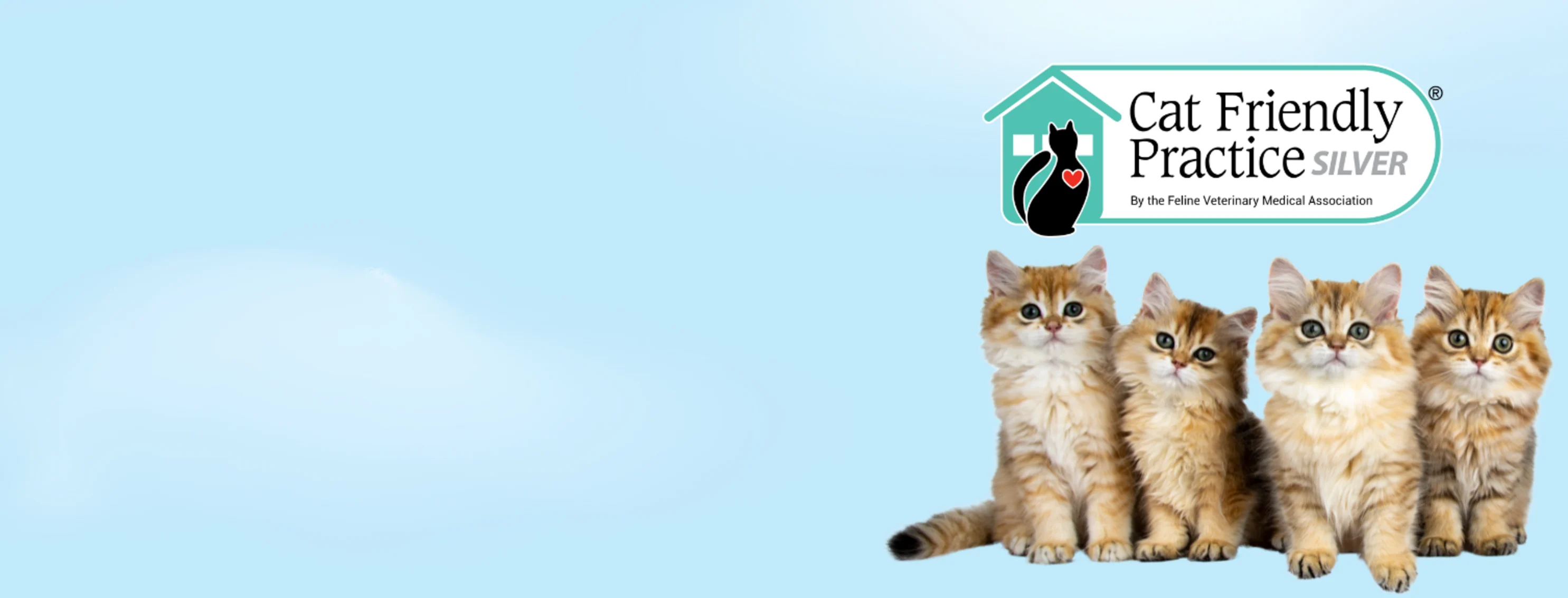 Certified Cat Friendly Practice - Silver Certified Cat Friendly Practice - Silver