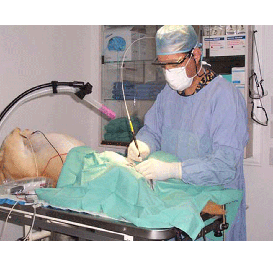 Vet performing surgery on a dog