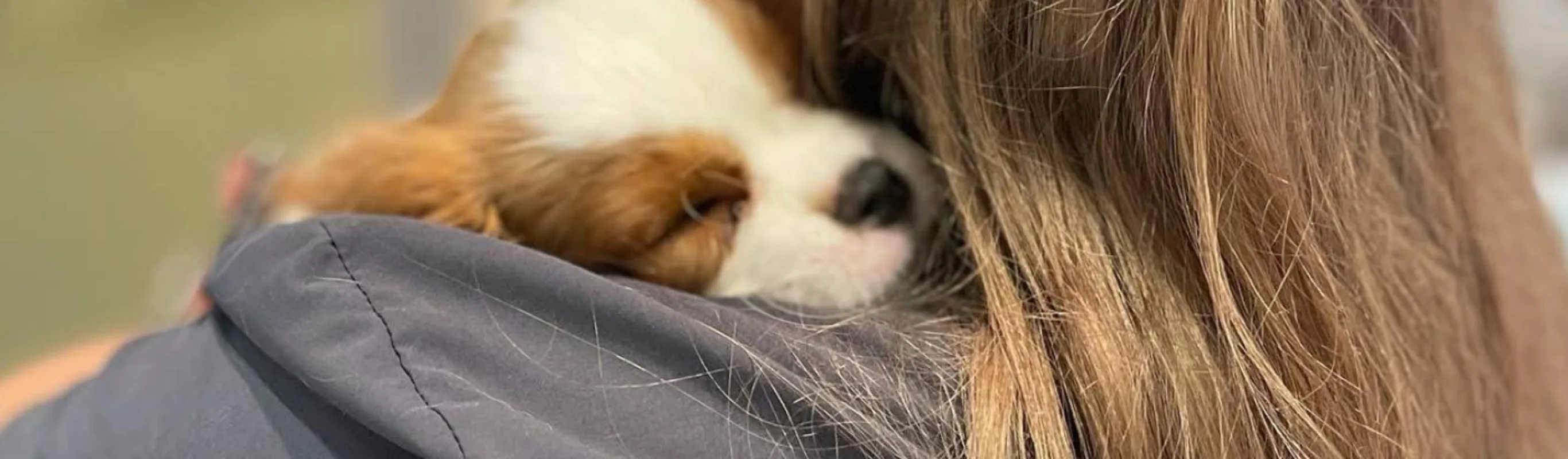 Staff member holding a puppy Staff member holding a puppy