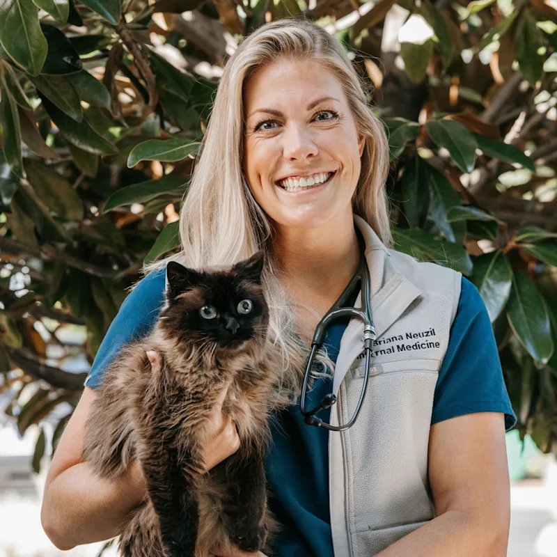 Brianna Neuzil Brianna Neuzil