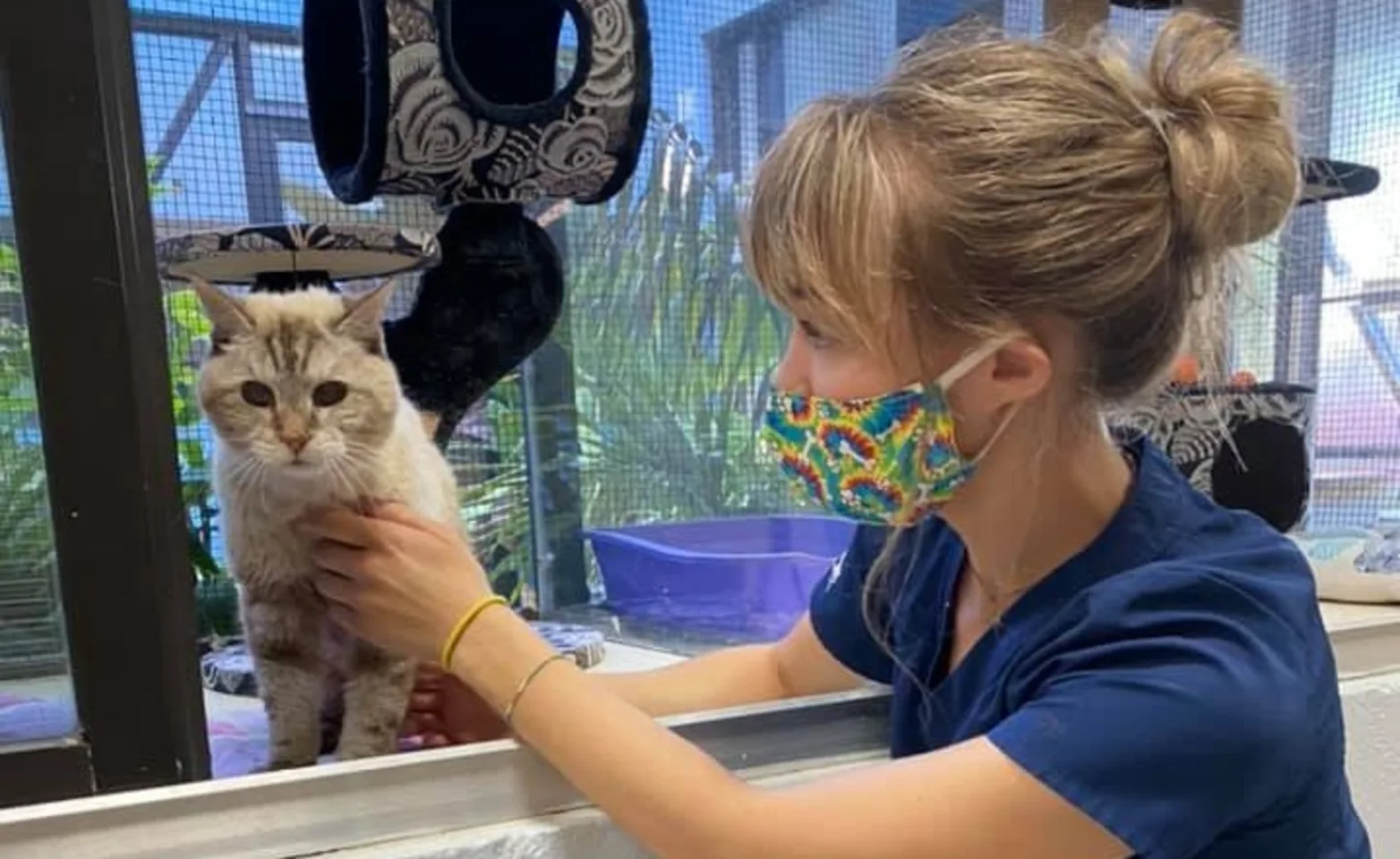 Cat boarding at St. John's Veterinary Hospital with a staff member Cat boarding at St. John's Veterinary Hospital with a staff member