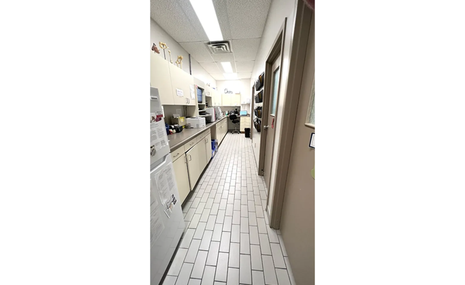 A staff member at Mitchell Animal Hospital filling a prescription order.