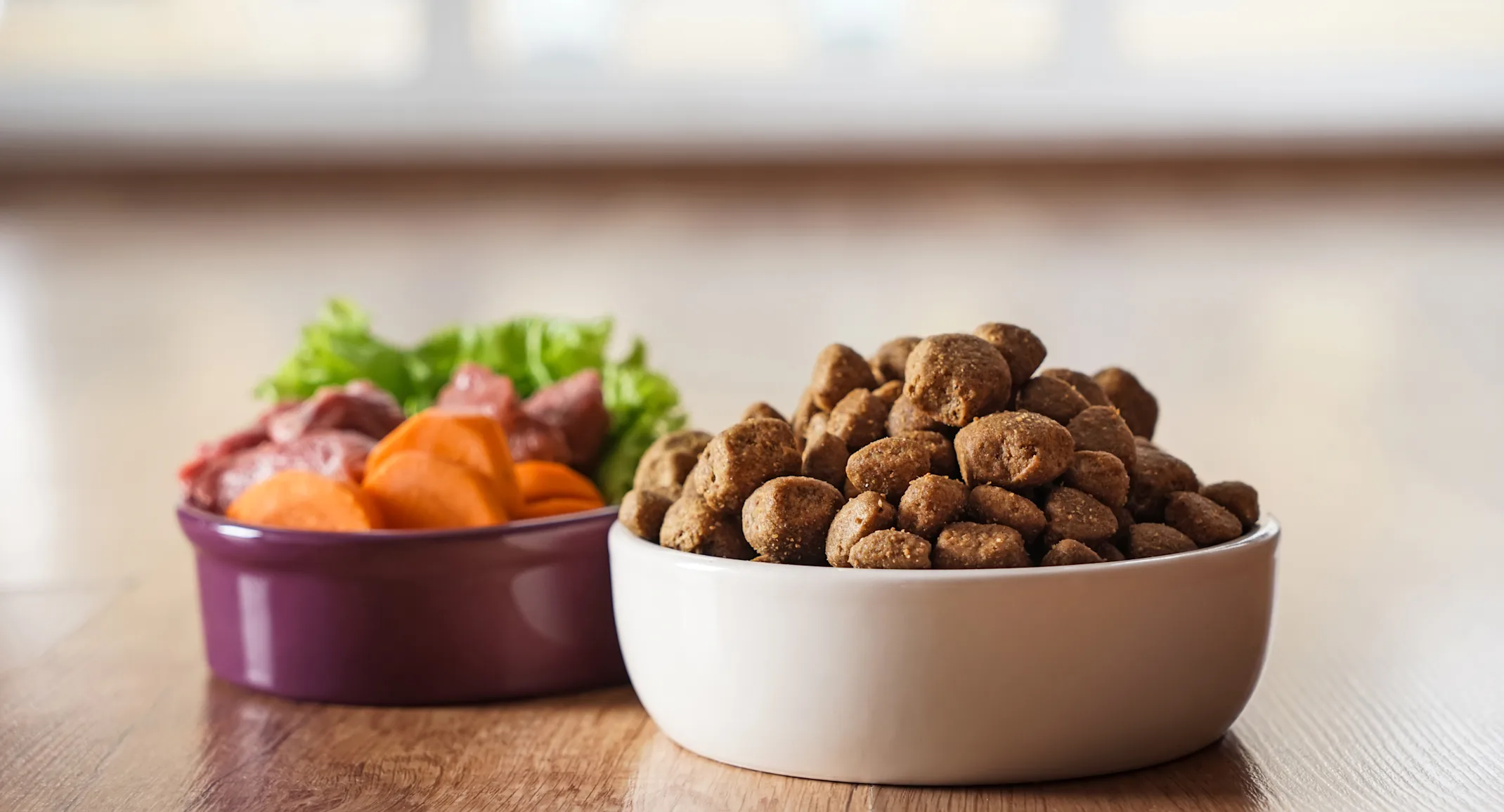 Food Bowl for cat and dog Food Bowl for cat and dog