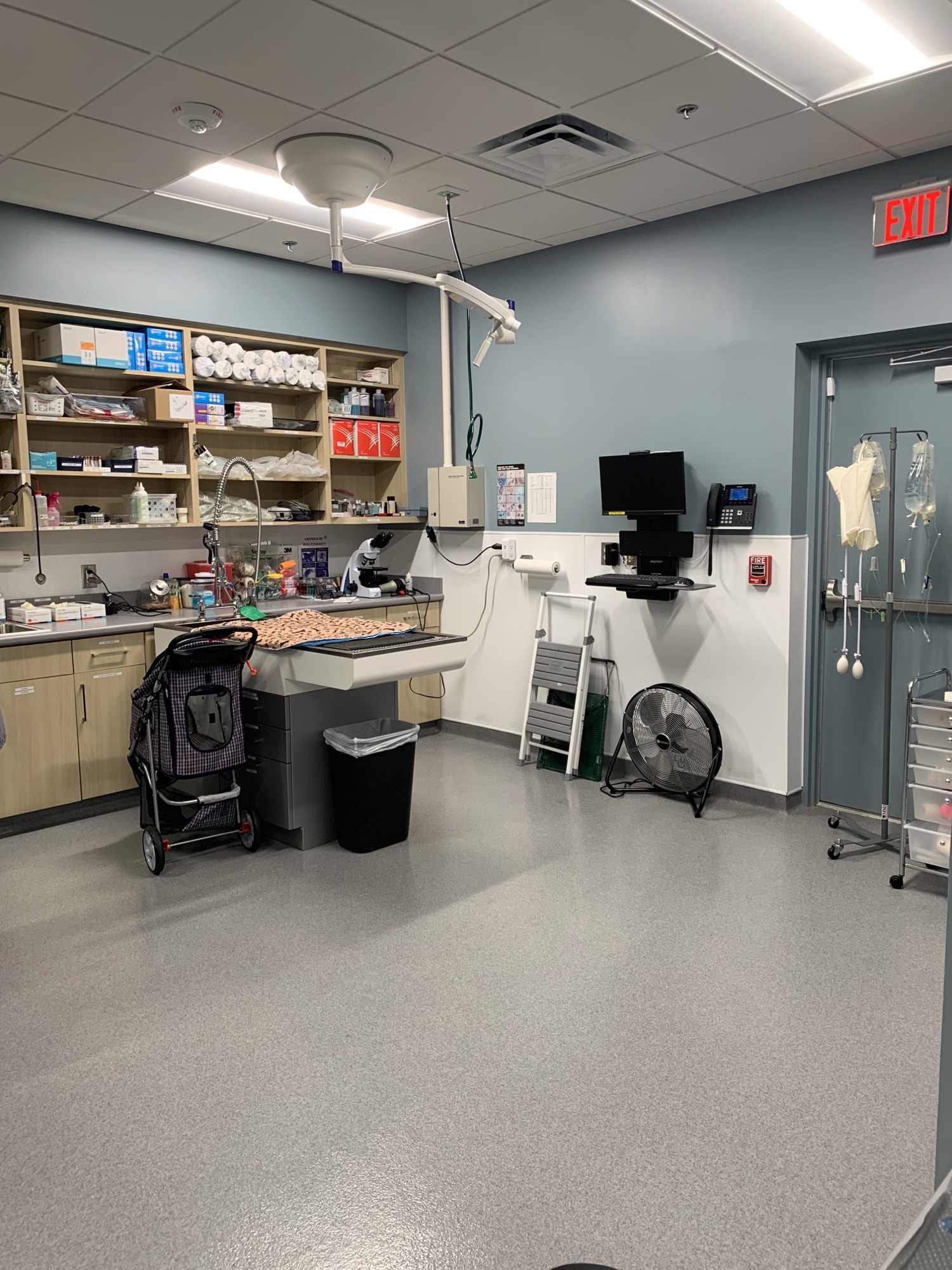 Countryside Animal Hospital of Hot Springs 0162 - Treatment Area 1