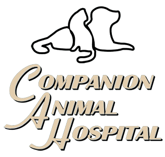 Animal Hospital in Mount Joy, PA | Companion Animal Hospital