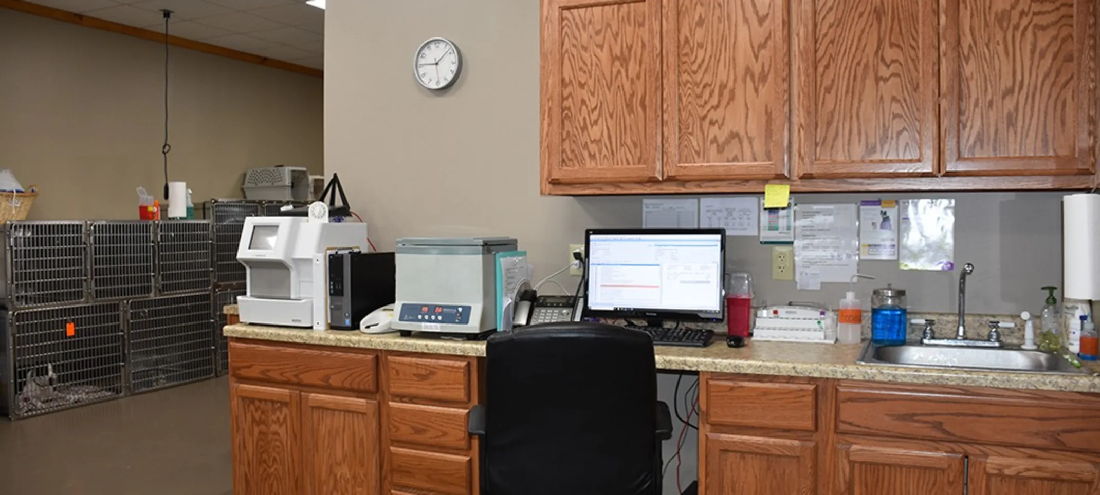 In House Lab In House Lab