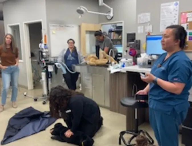 Group meeting Group meeting