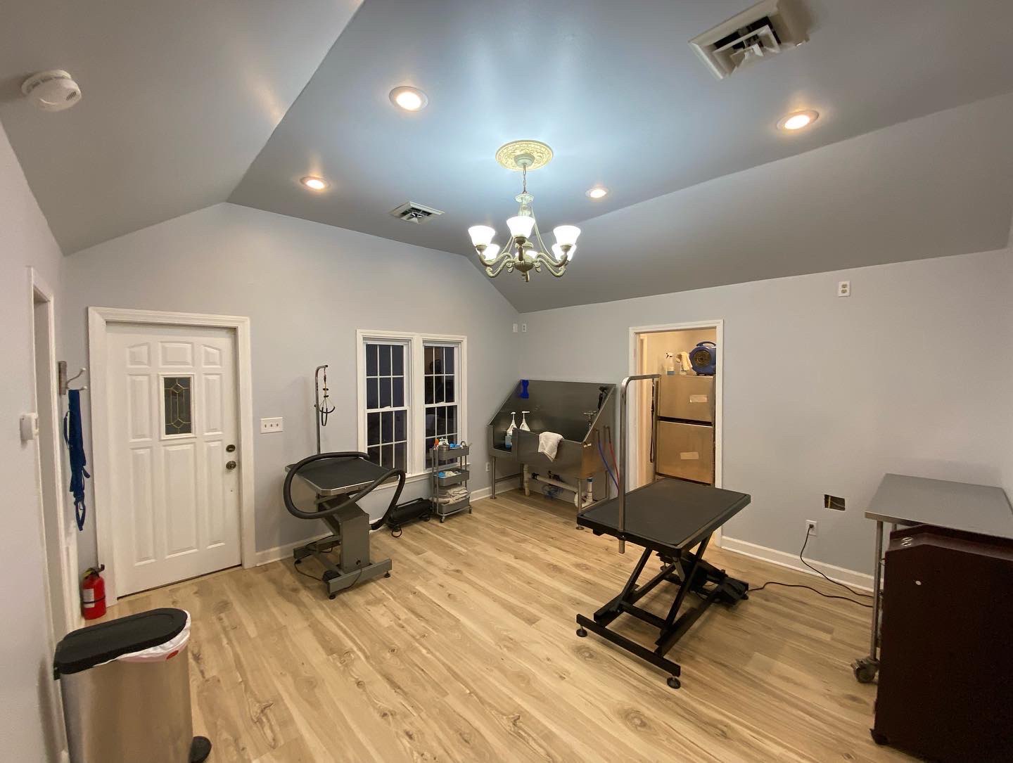 Salon at Pampered Paws Animal Hospital.