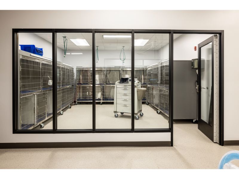 Recovery kennel room 2