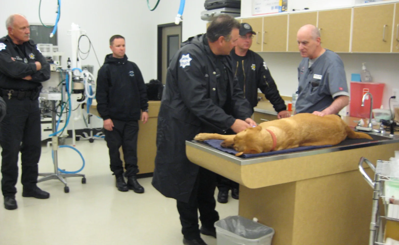 Four first responders and 1 veterinarian stand around an exam table with a dog laying on it.