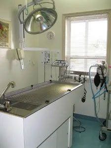 Dentistry