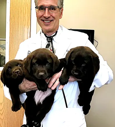 Dr. Carey Wasem holding three brown puppies