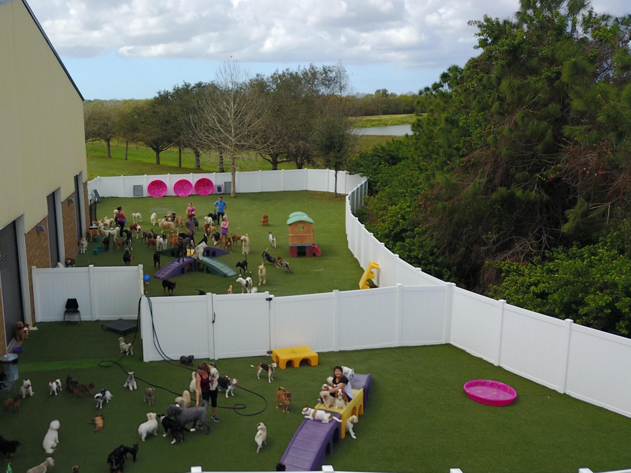 Outdoor play shop yard for dogs