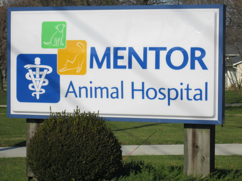 Mentor Animal Hospital Sign Outside