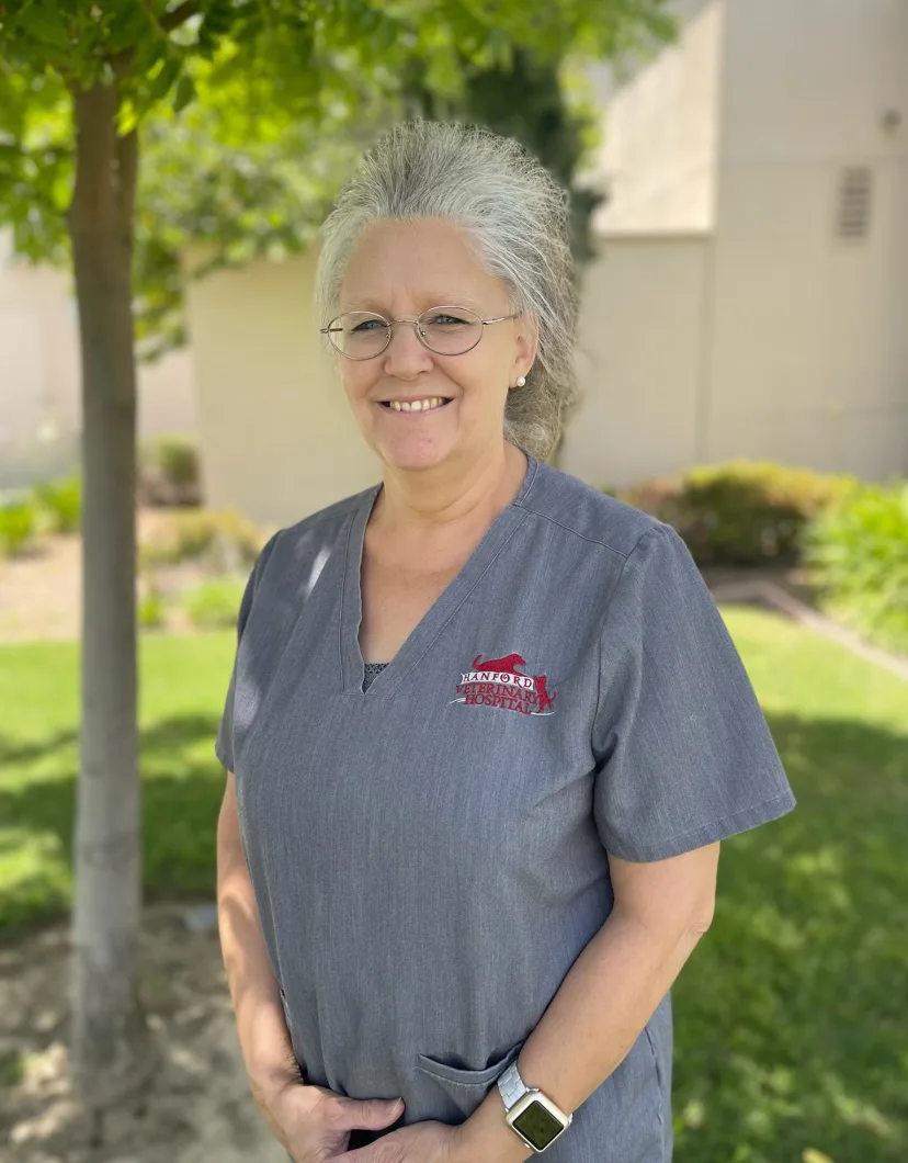 Susan from Hanford Veterinary Hospital