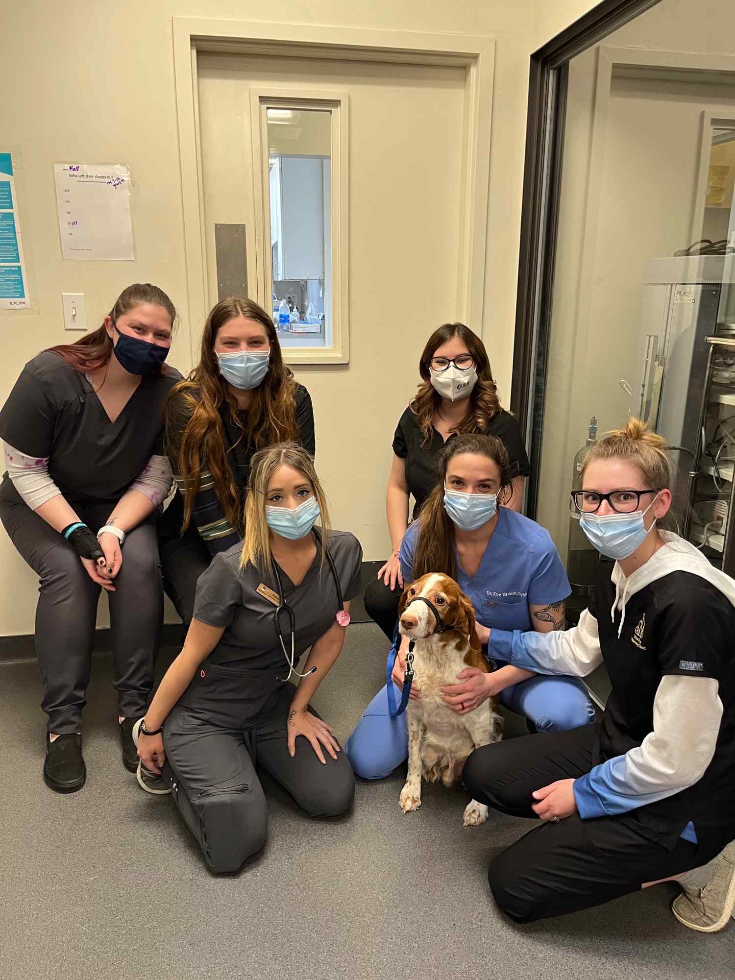 Group staff photo with dog.