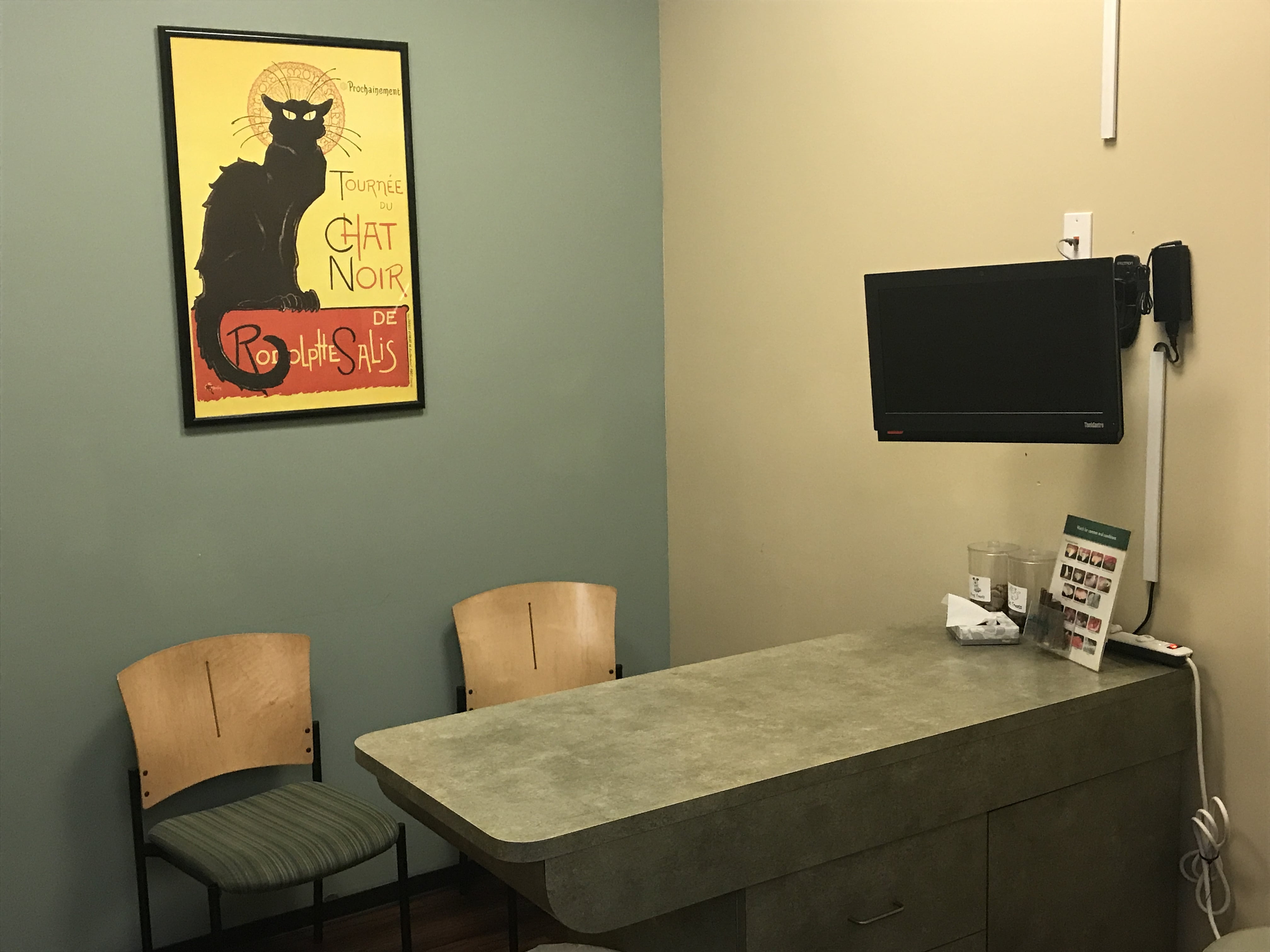 Telegraph Canyon Animal Medical Center's Checkup Room which consists of a checkup counter table, two chairs, and a mounted tv monitor