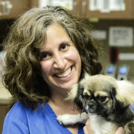 Dr. Renee Bazan holding a small dog at The KAAWS Clinic