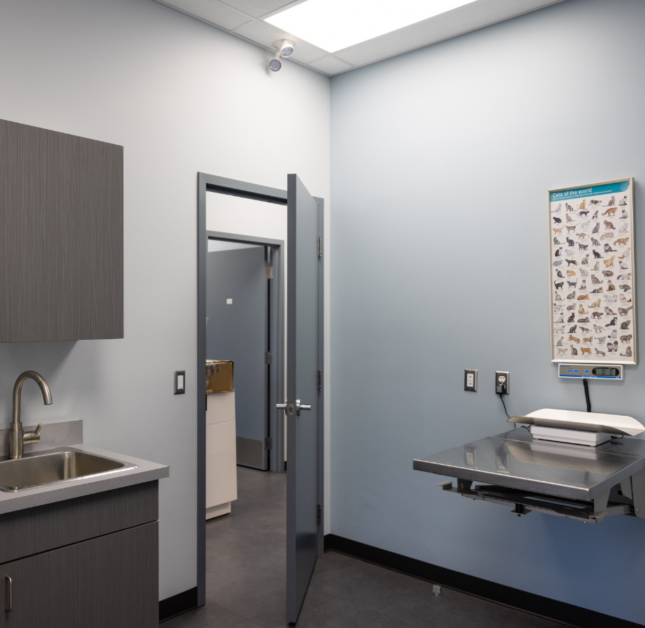 Exam room with table, sink and chart