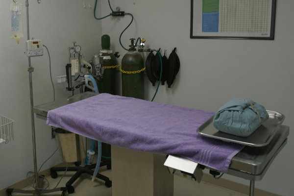 Strawbridge Animal Care's Medical Room 2 where there is metal table exam that has a purple towel on top. There are oxygen tanks in the back and supplies.