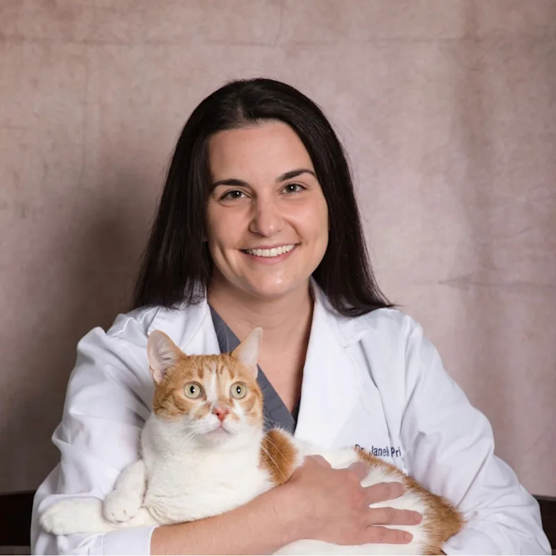 Animal Health Center of Madison Janelle Priestas Animal Health Center of Madison Janelle Priestas