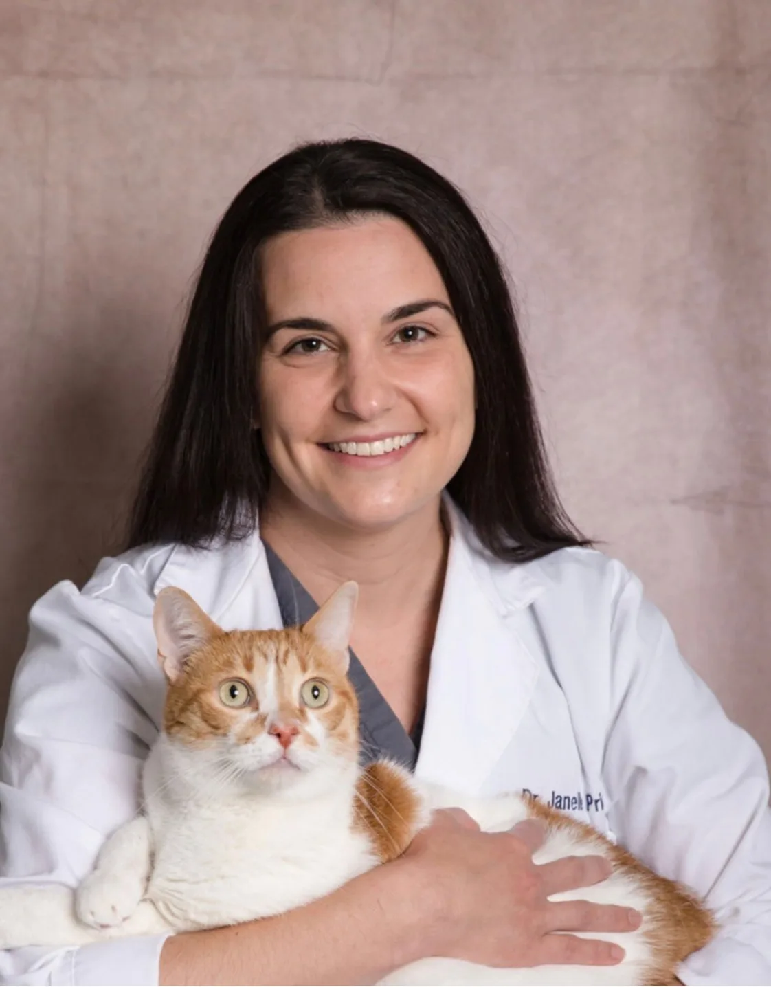 Animal Health Center of Madison Janelle Priestas Animal Health Center of Madison Janelle Priestas