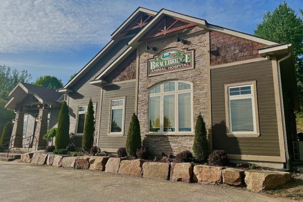 Right Angle Exterior of Bracebridge Animal Hospital