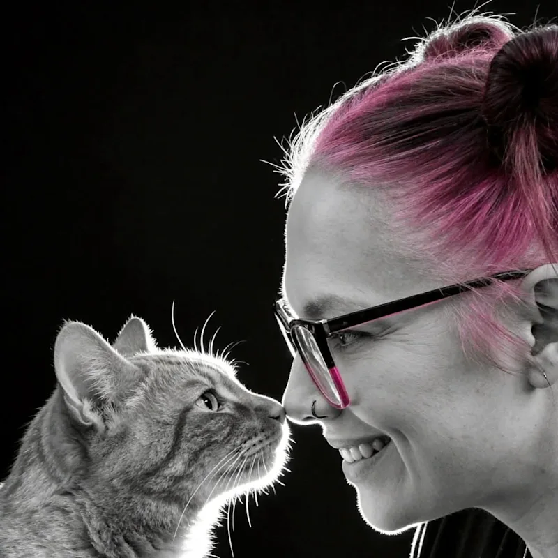 Angela Petroccio Angela Petroccio