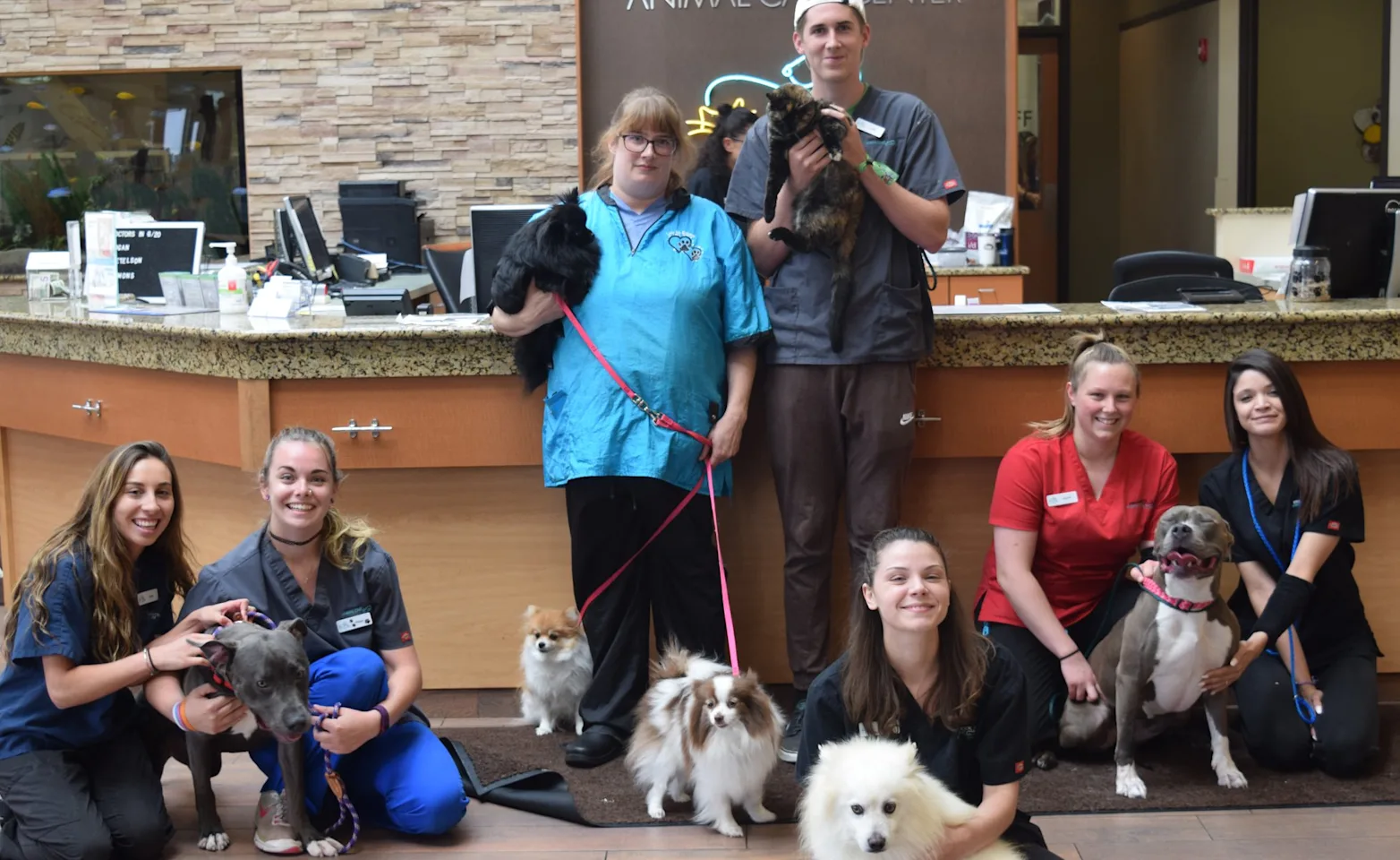 staff with pets staff with pets