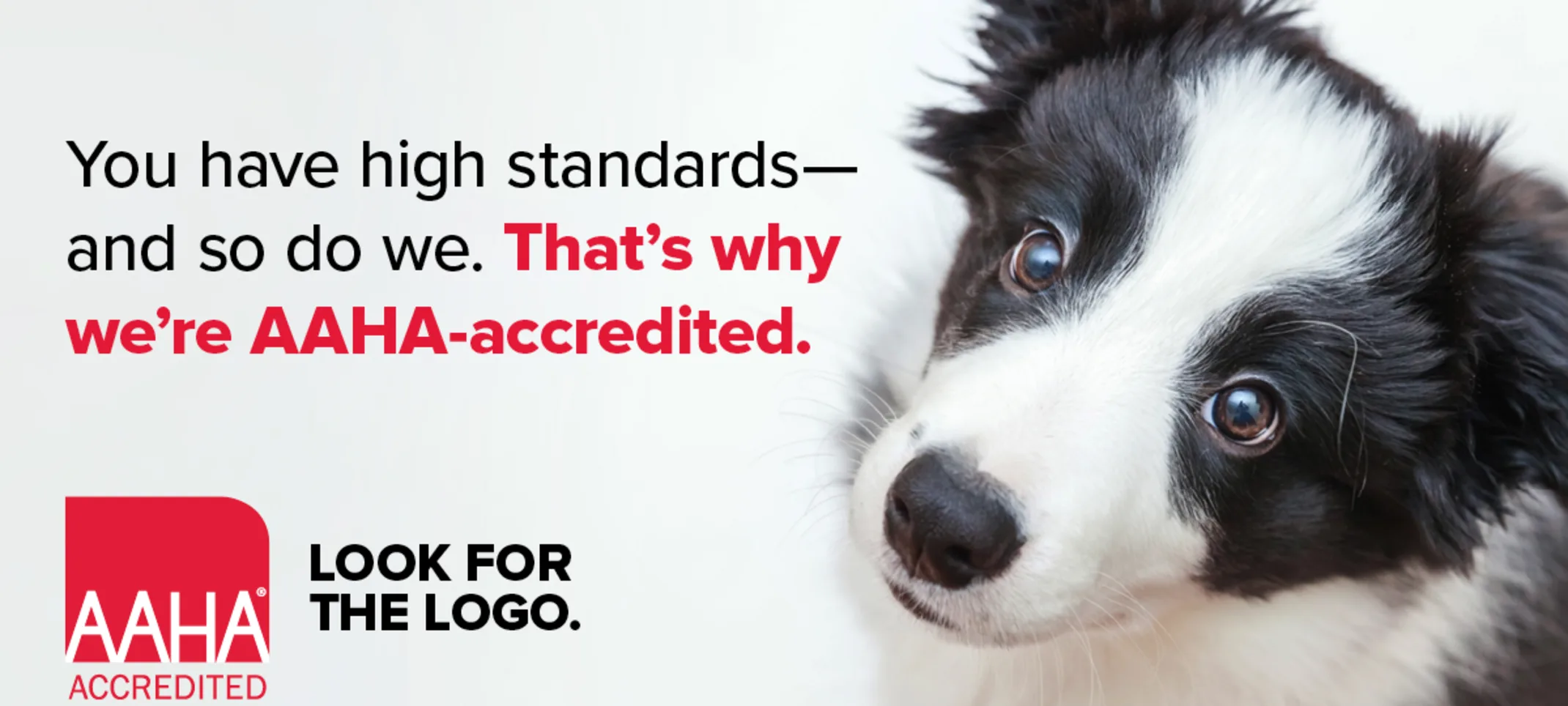 Rose Valley Veterinary Hospital Rose Valley Veterinary Hospital