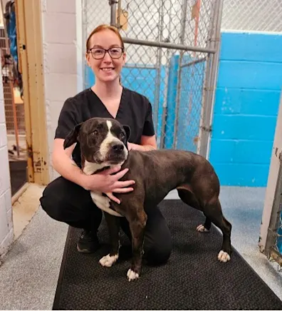 Anna White Anna White