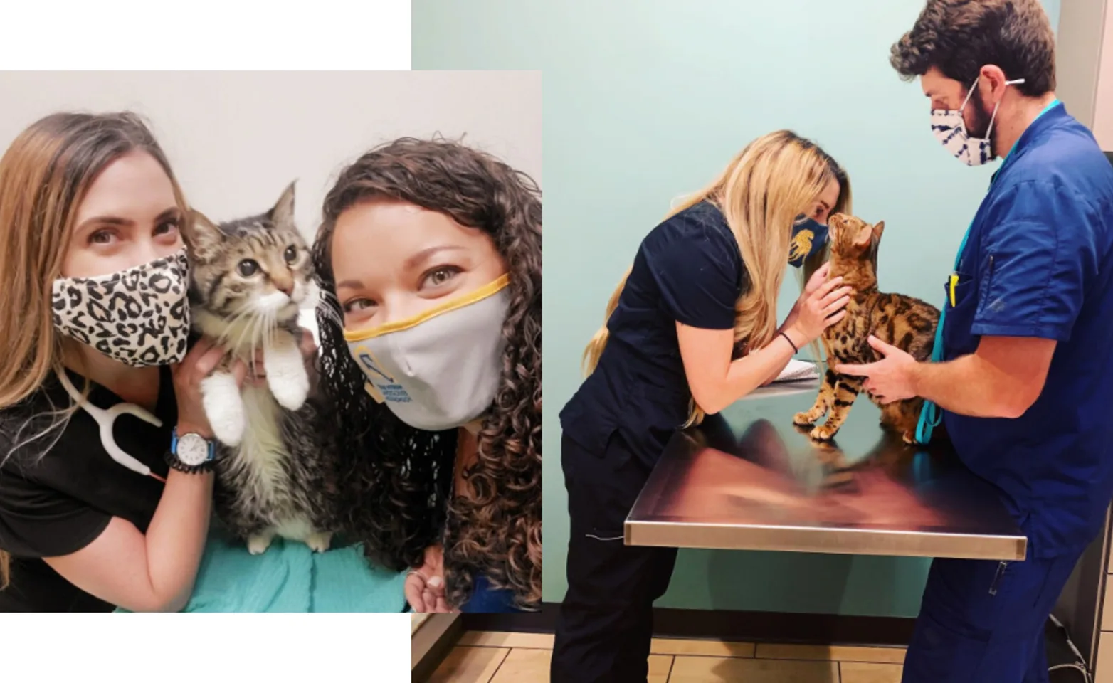Staff Members with Two Brown Cats at Southwest Vet