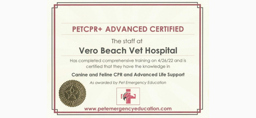 Animal Hospital in Vero Beach, FL Vero Beach Veterinary Hospital