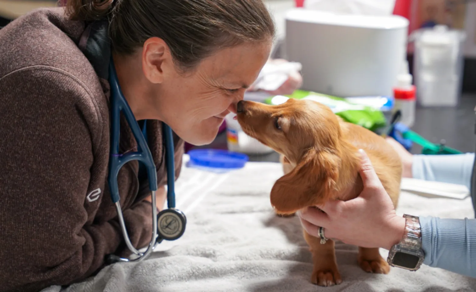 Staff Member & Puppy Touching Noses Staff Member & Puppy Touching Noses
