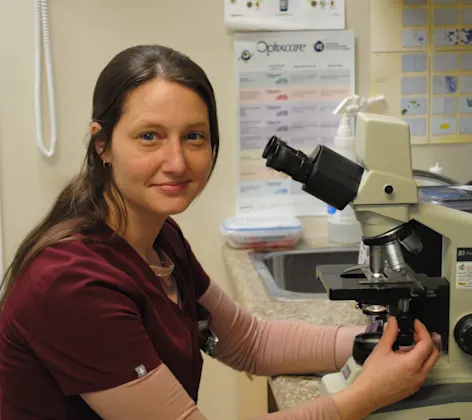 Vet using microscope Vet using microscope