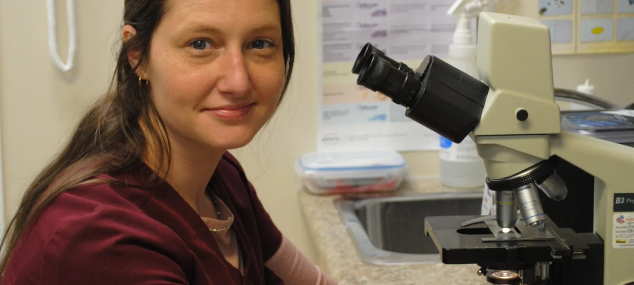 Vet using microscope Vet using microscope