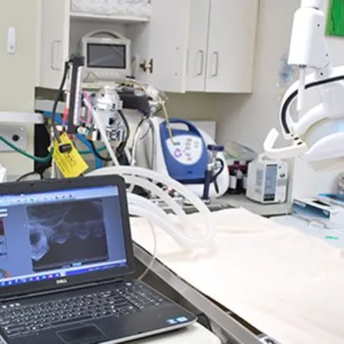 AMC of Hattiesburg Lab AMC of Hattiesburg Lab