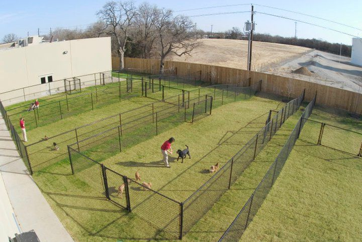 Outdoor yards for dogs at Elite Suite Pet Resort Heath