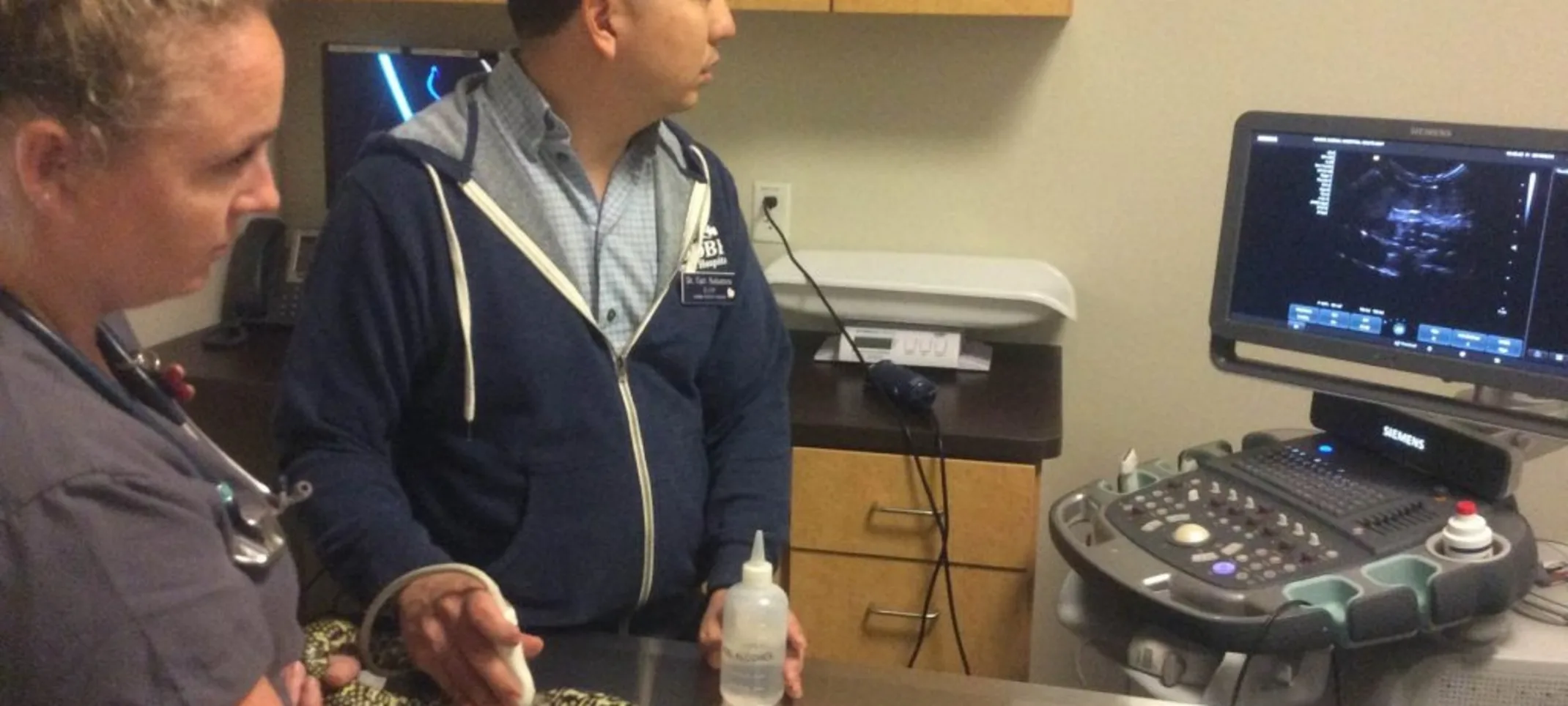 Staff looking at an ultrasound of a snake Staff looking at an ultrasound of a snake