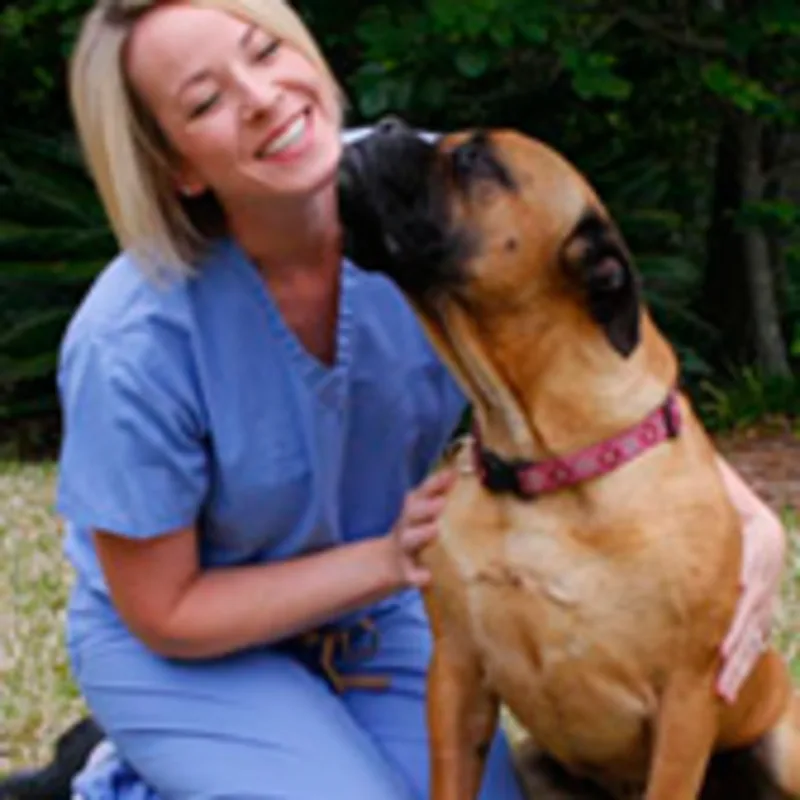 Jenn Wardlaw Jenn Wardlaw