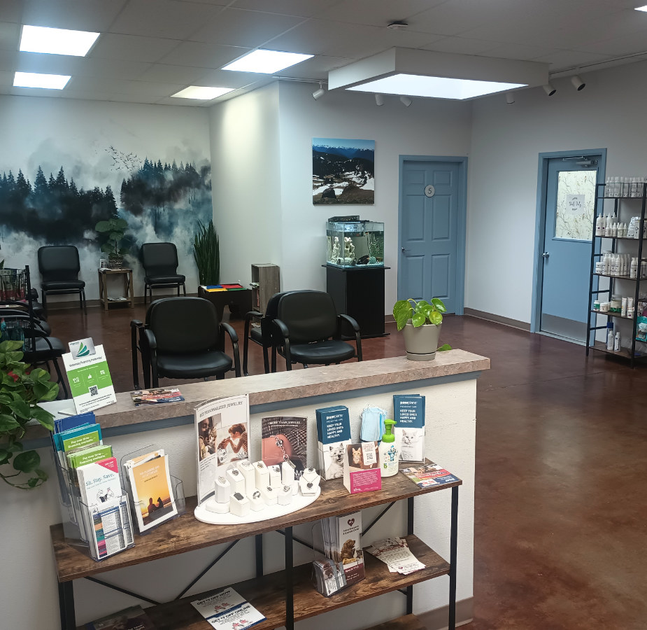 Updated lobby area in Greywolf Veterinary Hospital