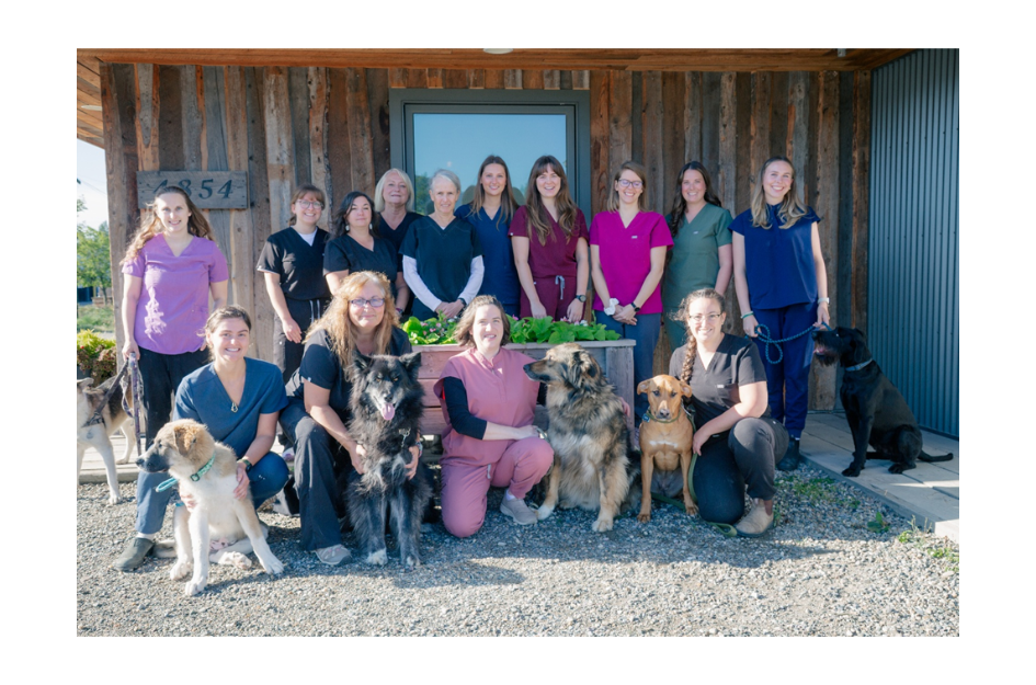  Invermere Veterinary Hospital - Team Photo 2025