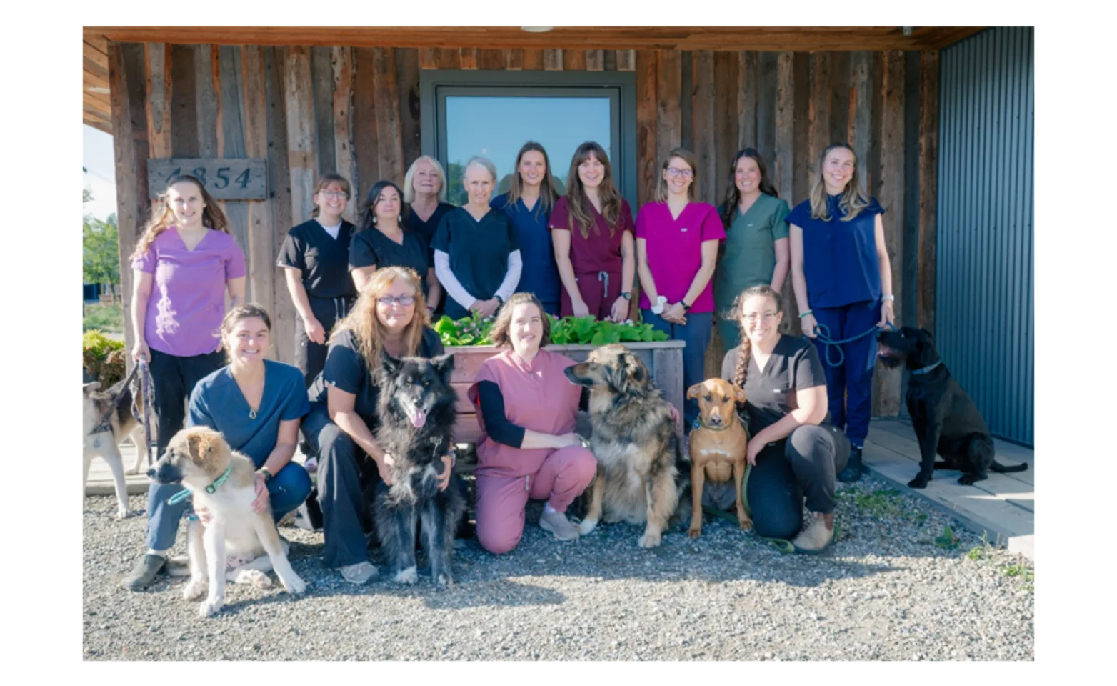 Invermere Veterinary Hospital - Team Photo 2025 Invermere Veterinary Hospital - Team Photo 2025