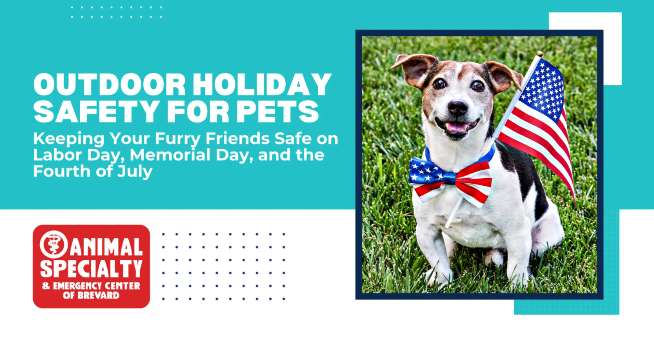 Animal Specialty & Emergency Center of Brevard - Outdoor Holiday Safety Tips for Pets Animal Specialty & Emergency Center of Brevard - Outdoor Holiday Safety Tips for Pets