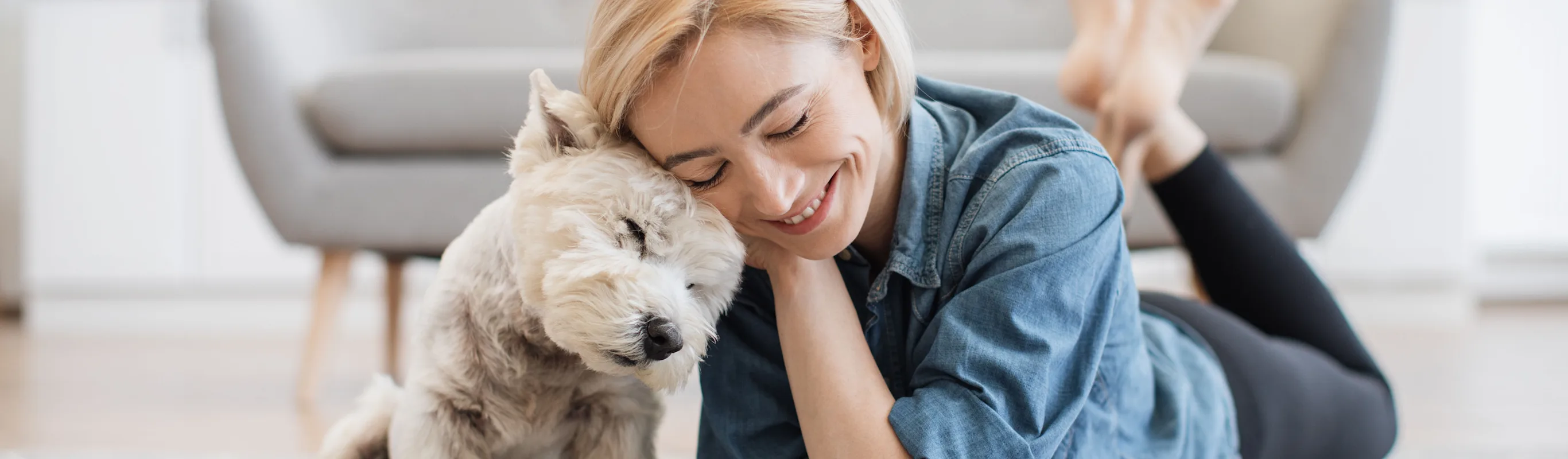 Person touching heads with their dog Person touching heads with their dog