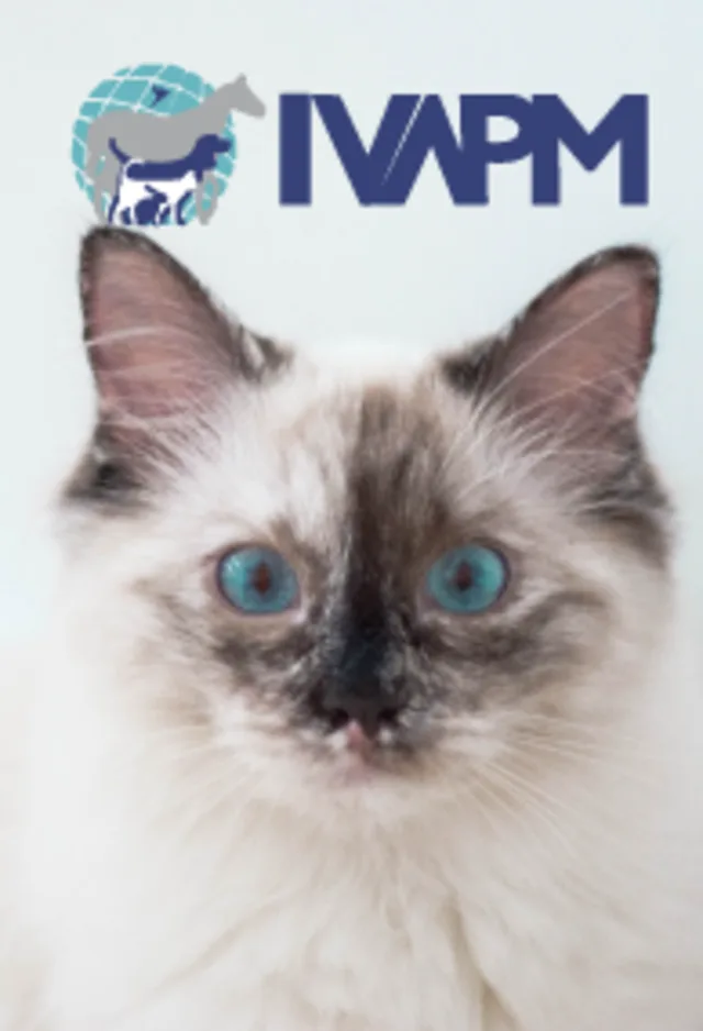 International Veterinary Academy of Pain Management International Veterinary Academy of Pain Management