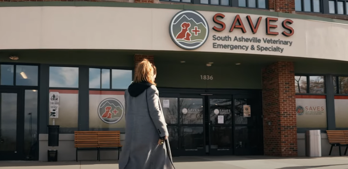 Woman walking to vet office